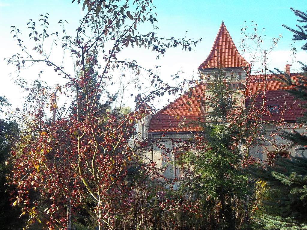 Vila Dwor W Boleniu Exteriér fotografie