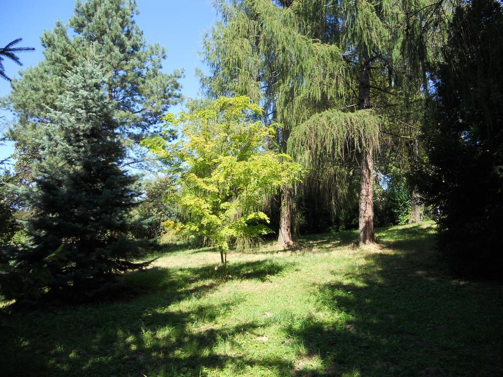 Vila Dwor W Boleniu Pokoj fotografie